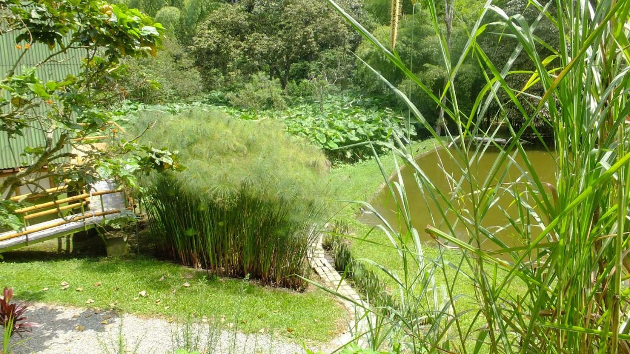 Cordoba  Sonarte Reserva Natural מראה חיצוני תמונה
